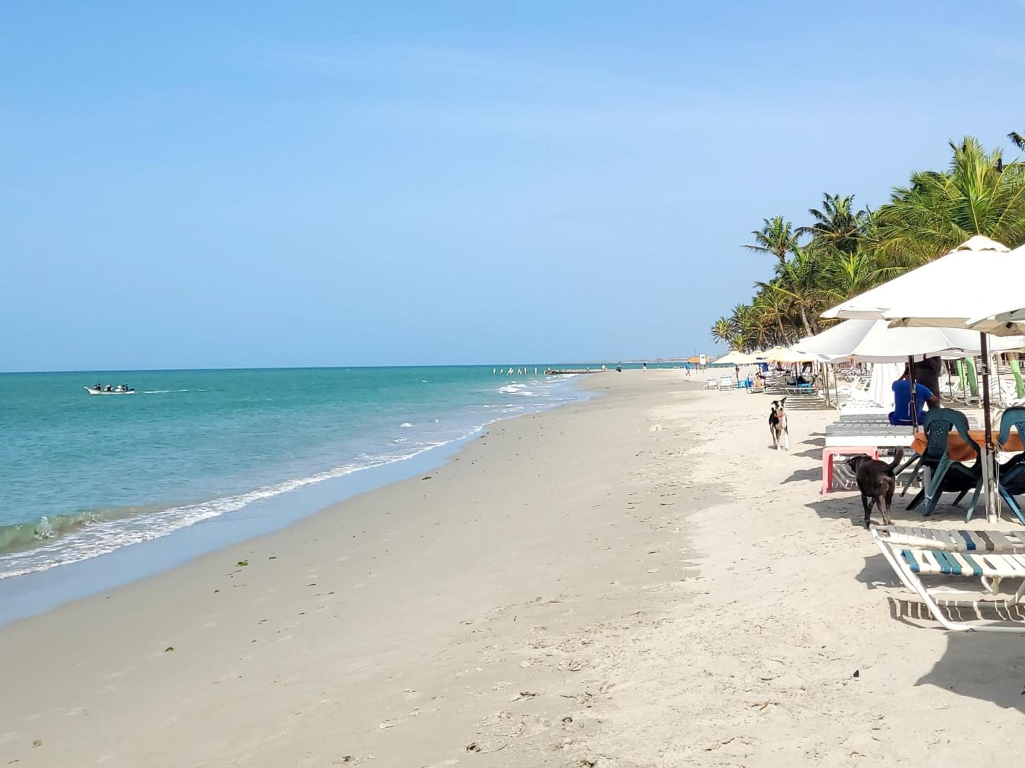 Steviewonderland Playa El Yaque Hotel Eksteriør billede