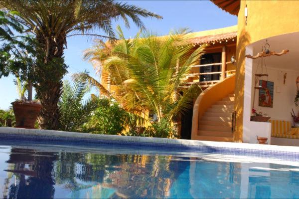 Steviewonderland Playa El Yaque Hotel Eksteriør billede